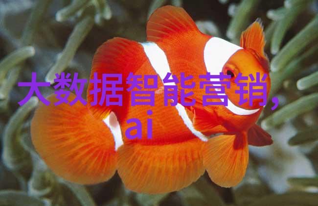 烤包器的诱惑探索手工面包的美妙世界