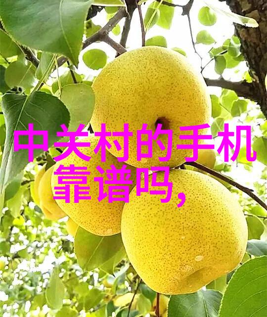 分选机型号大全智能化与高效率的未来选择