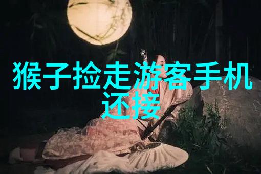 空调制冷设备从原理到应用的全方位探究