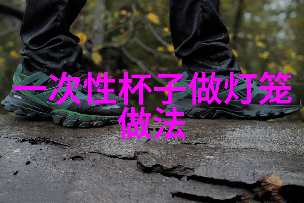 燃气蒸汽发生器的重量与效能
