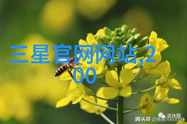 北城有雪倾听城市的沉默