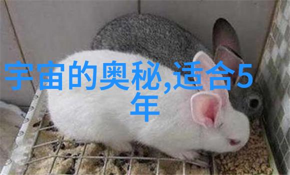 hi nova对年轻一代意味着什么