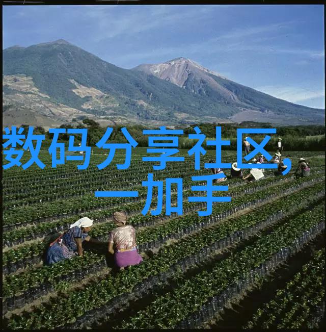 南京财经大学红山学院钱学分的奇妙冒险