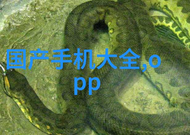 胶囊剂机械如何改变我们的药物管理方式