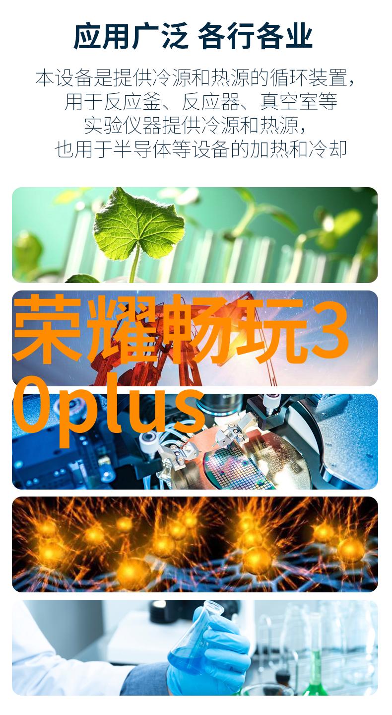 烹饪技巧之旅教你各种食材的最佳切法