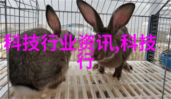 小型工业污水处理设备的选择与安装指南