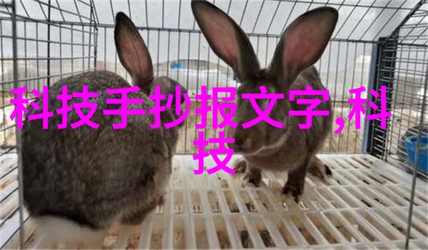 在日常生活中我应该如何运用简单的手动式粘度计