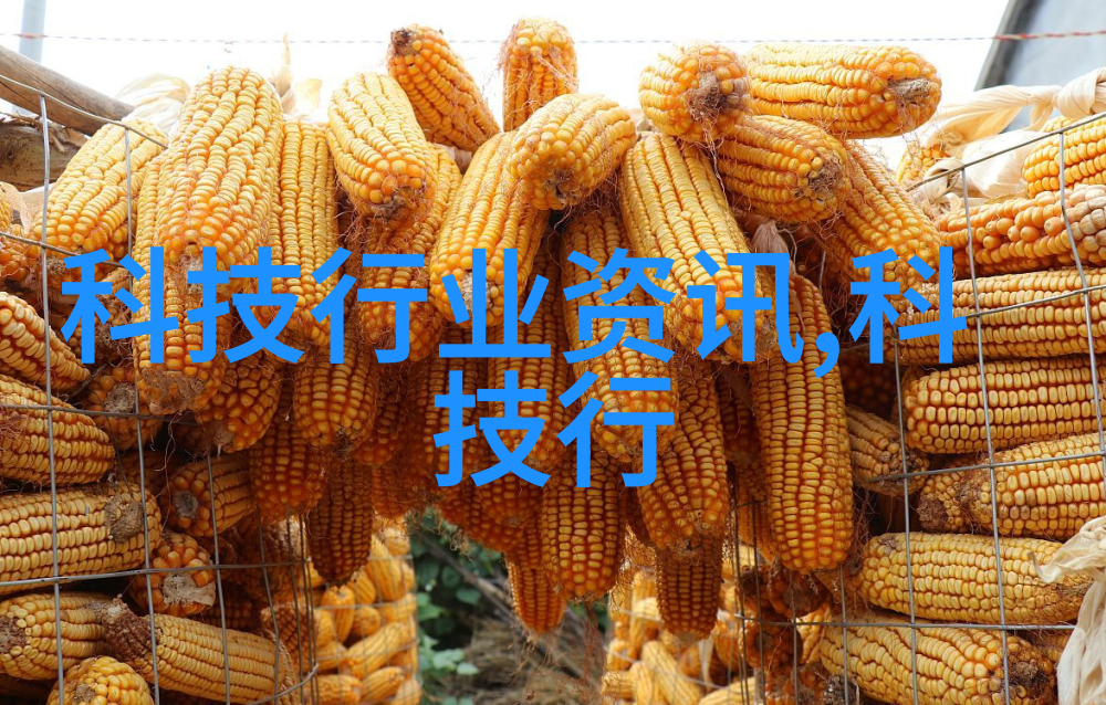 实验室常用设备的神秘面纱它们背后的故事有多奇妙