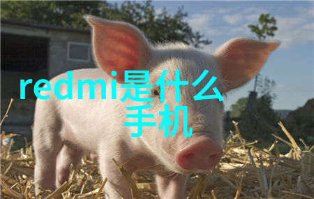 河南职业技术学院我在这里找到了自己的未来