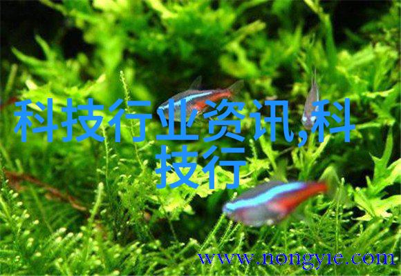 企业微信从工作聊天到社交媒体的无形跳水板