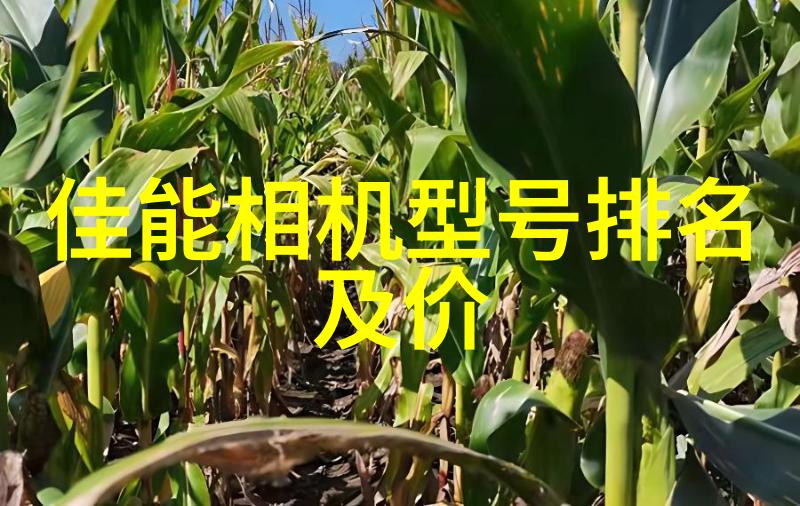 空压机油水分离过滤器在工业中的重要性探讨