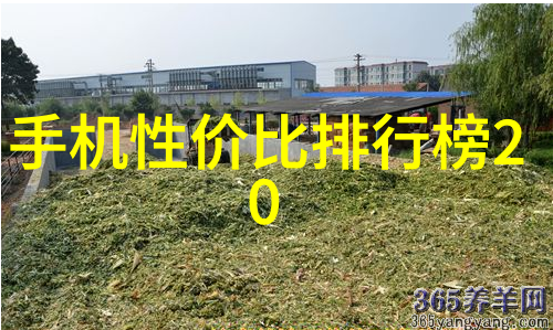 高效混合搅拌技术的未来趋势与应用前景