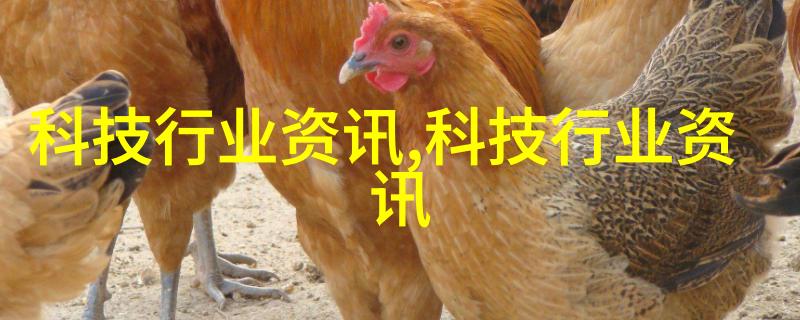 古典客厅