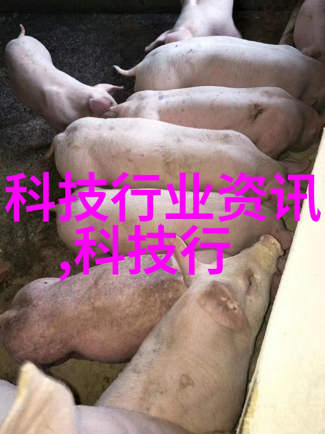 等离子灭菌器高效无害化消毒设备