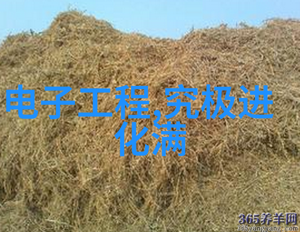 屠宰设备的未来高效与可持续性之追求