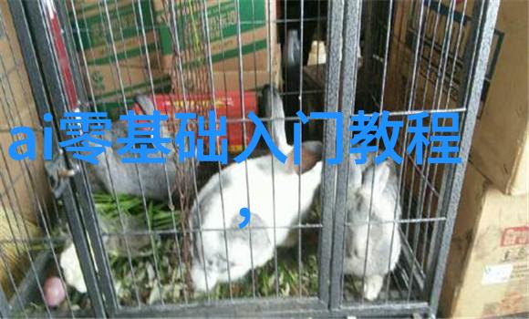 探寻宝藏地图寻找那一片神秘的PE管材之乡