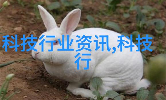 自动化沙石分离技术的发展与应用新趋势