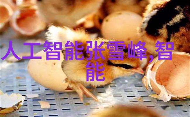 化工丸剂生产线技术与应用概述
