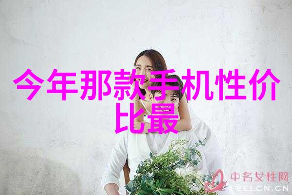 火焰与清洁垃圾焚烧炉的奇迹工厂