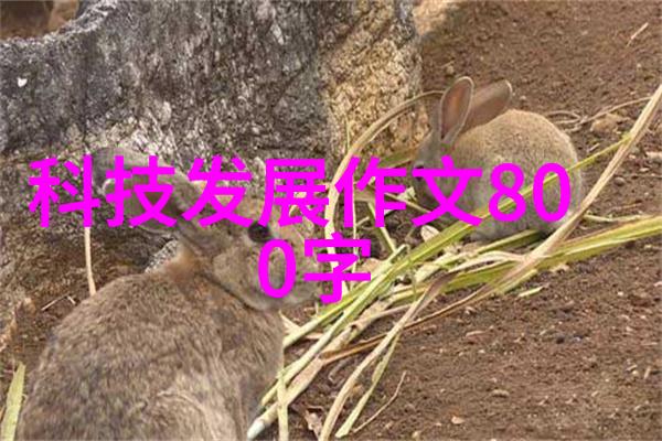 oppoa55时空之弦的回响