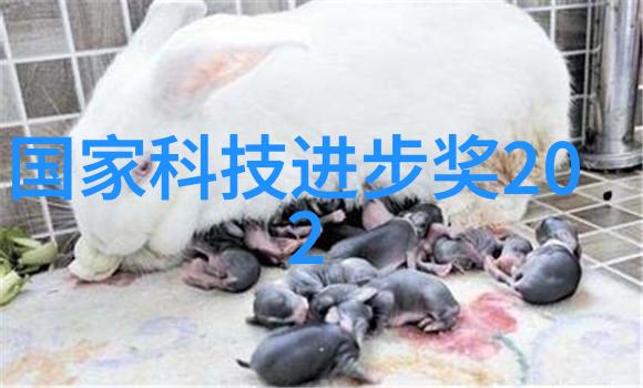 北京高低温试验箱模拟极端天气条件的实验室伙伴
