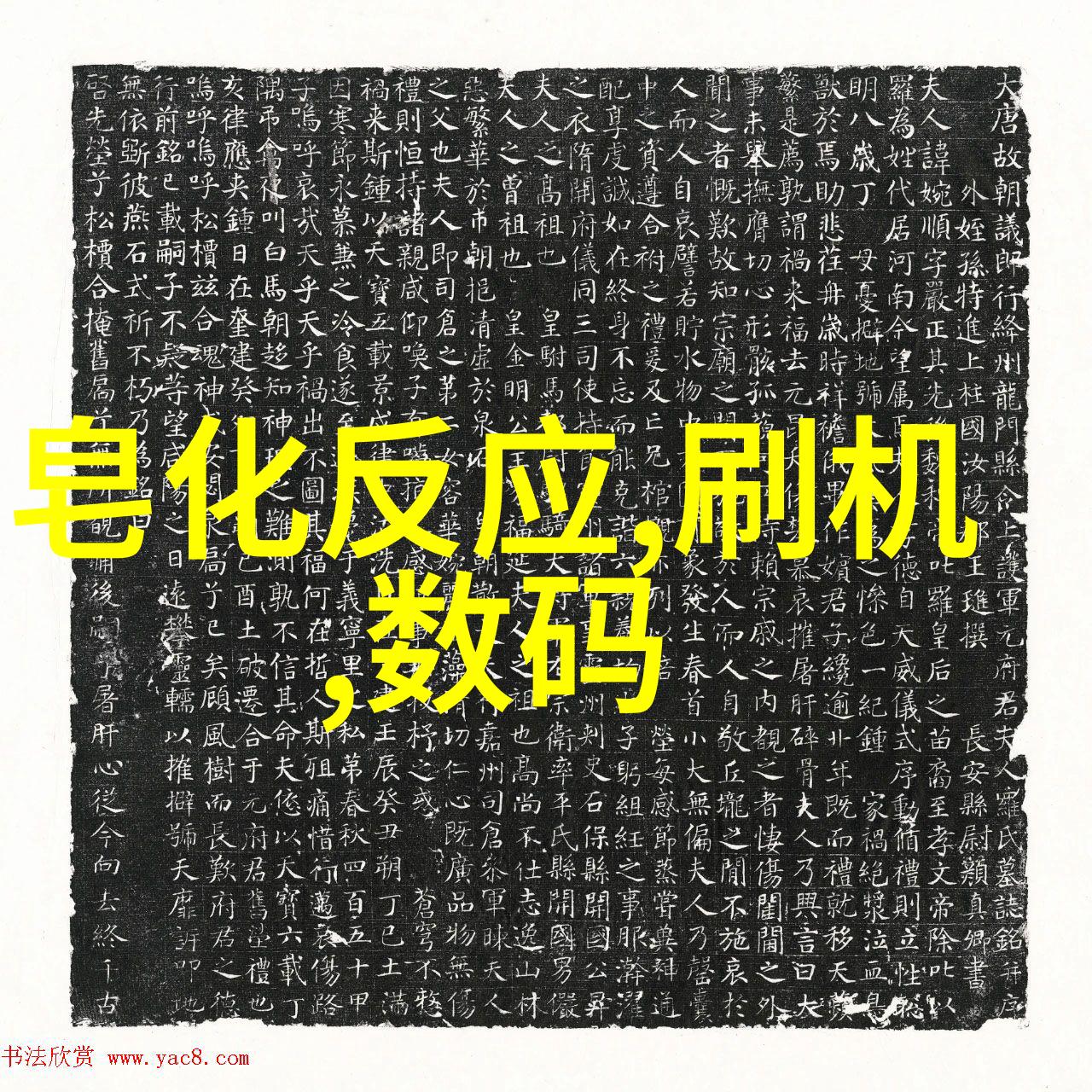 丝网填料与陶瓷填料技术差异与应用选择