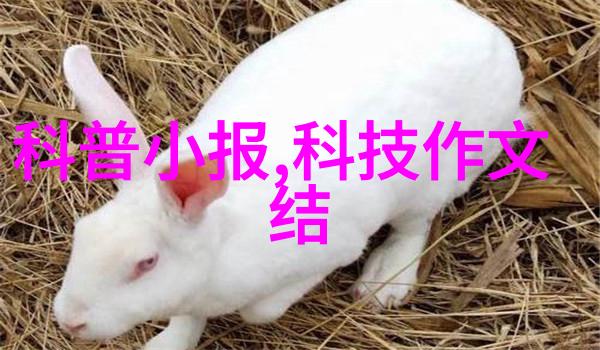 探究附近不锈钢加工厂对当地经济发展的影响及其对环境可持续性的贡献