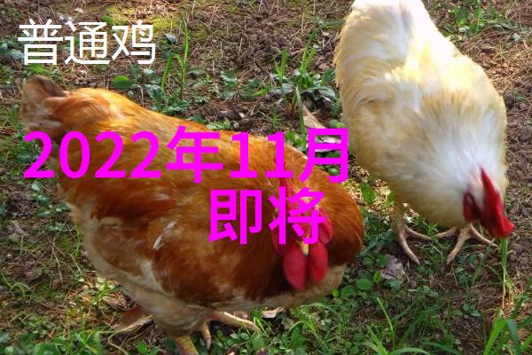 智能决策如何选择合适的测评工具