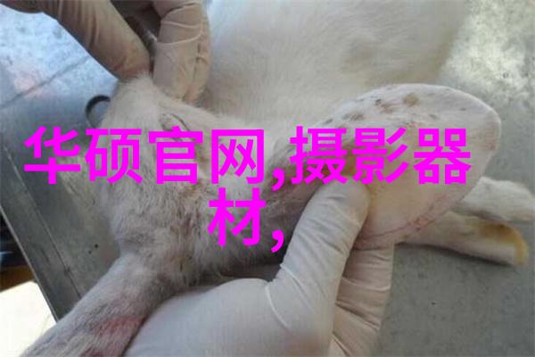 小型蒸汽发生器我家的热水之母