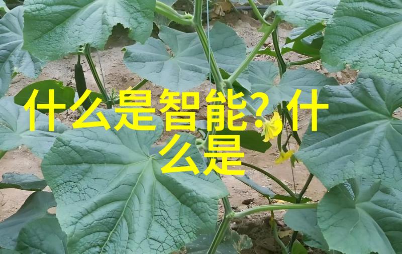 梁医生人性的光辉与挑战