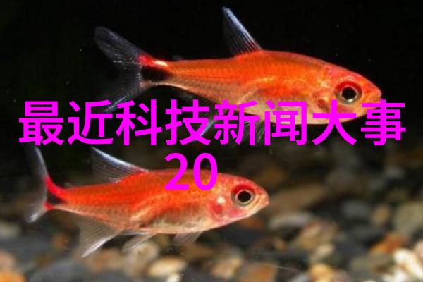 生态环境保护视角下的低TDS水资源开发利用策略讨论