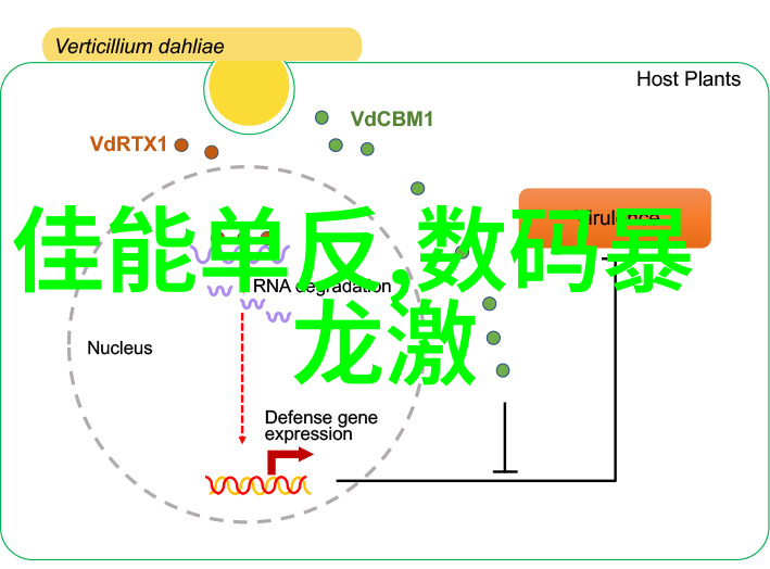 三瓣六瓣填料的安装要求我是如何把三瓣六瓣填料正确安装的