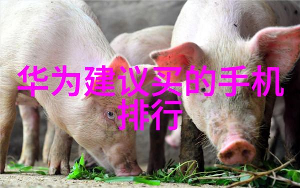 大型中药提取浓缩设备-高效的现代药剂大型中药提取浓缩设备的技术革新与应用