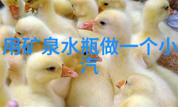 浓缩蒸发设备的运作原理与应用