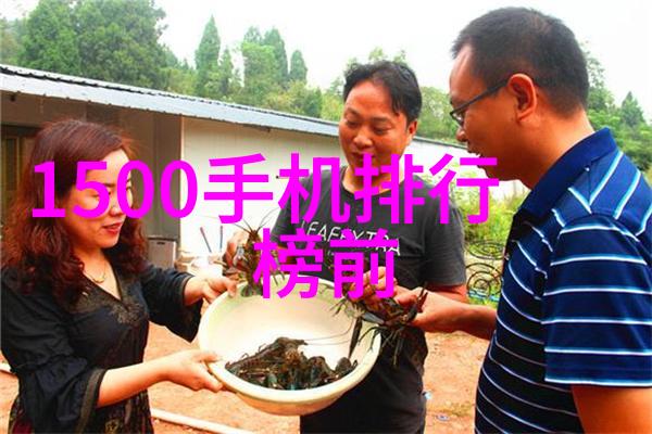 丝网填料与波纹填料的选择指南揭秘其优缺点