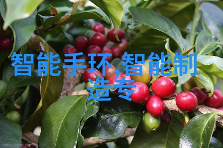 工作情况报告怎么写我的经验分享