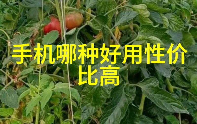 暖暖社区温馨共享的第一步