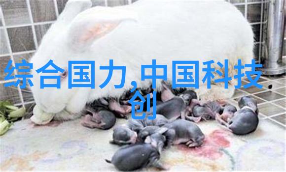 防止盗汩现象高科技防盗装置在现代住宅中的应用实例分析