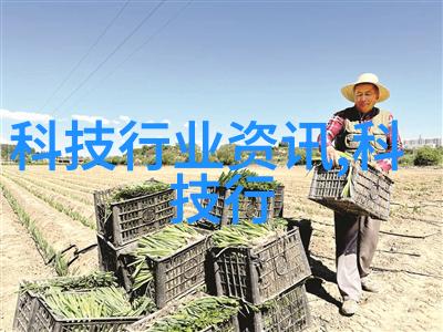 恶魔的宠儿妖精与人的奇幻故事