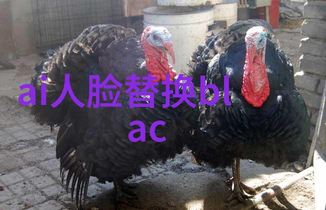 科顺防水科技与传统相融的防水艺术