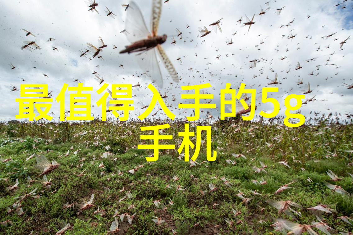 压滤机液体净化之神器