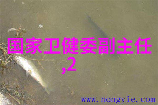 机械化药品包装新时代智能化与安全性并进的未来