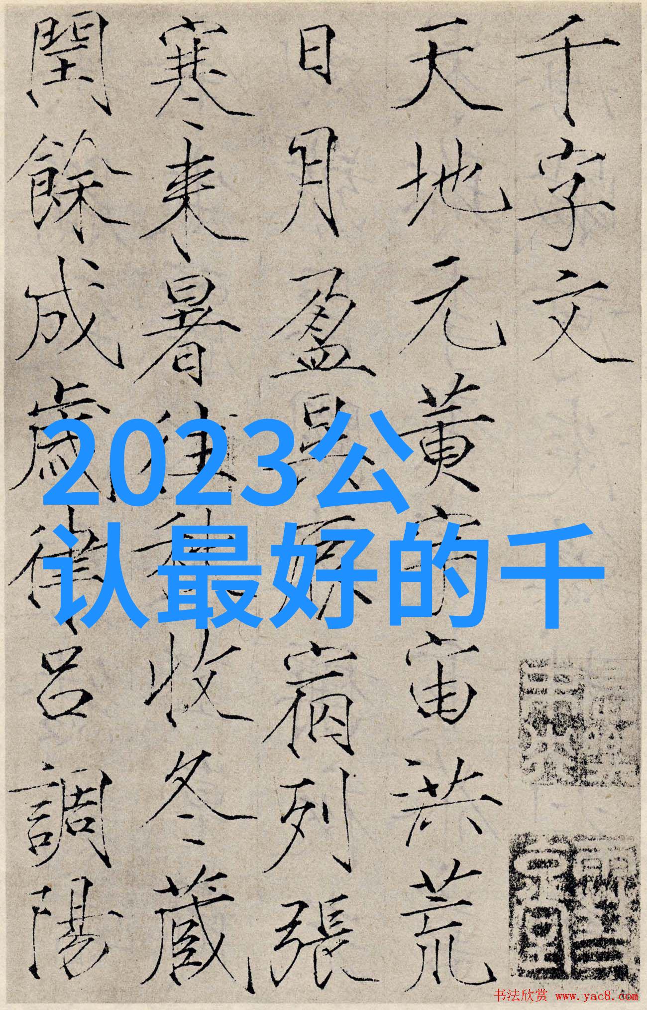 杨九郎老婆大闹德云社喜剧与争议的交织