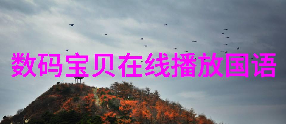 宝贝水上公交车的诱惑与挑战