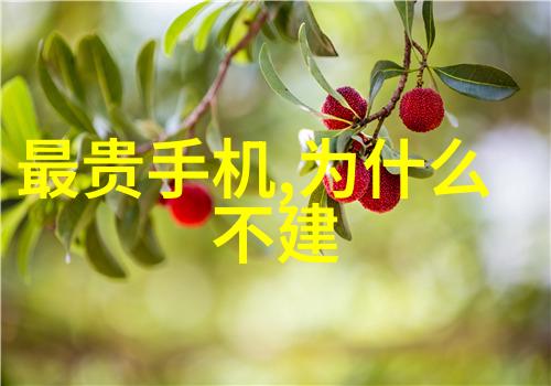 探究层析柱技术从分离到鉴定