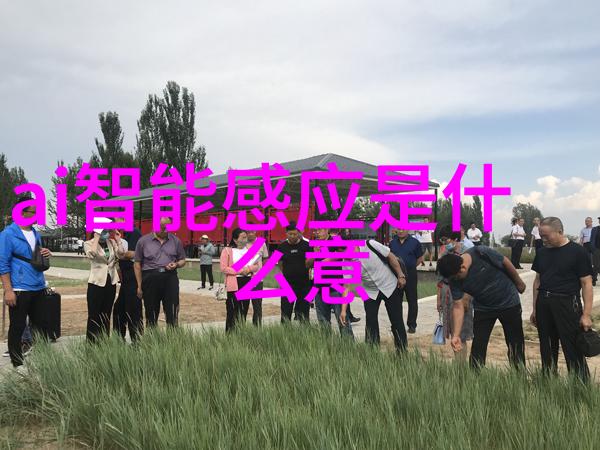 冷冻设备专业的食品储存解决方案