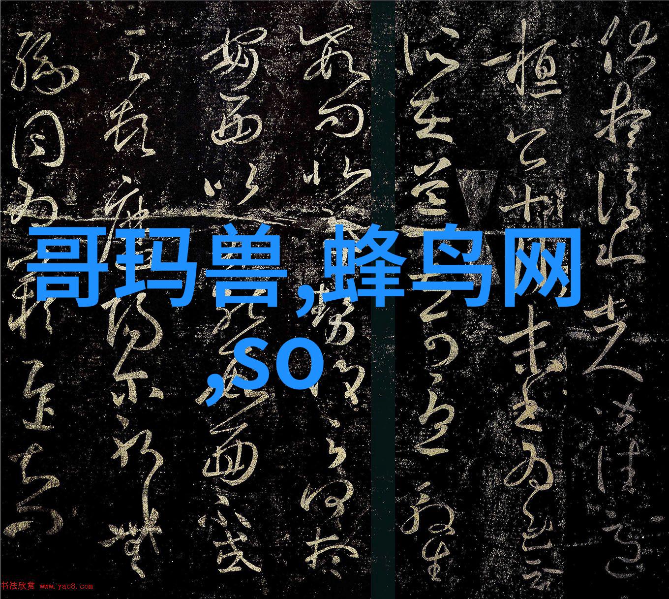 蒸汽换热器技术高效能蒸汽换热器设计与应用