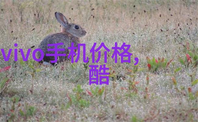中国芯片十大龙头企业的崛起与影响力