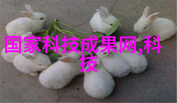 粉煤灰再生利用绿色循环经济的新希望