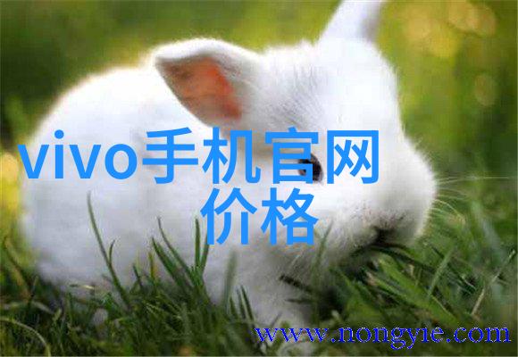 粉体的秘密传送背后的阴影与未知之谜
